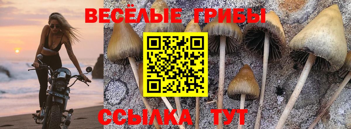Лесной  закладка  Вход с VPN  Псилоцибиновые грибы мухоморы 